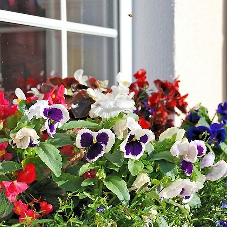 Lemongrove House Bed & Breakfast Enniscorthy Dış mekan fotoğraf