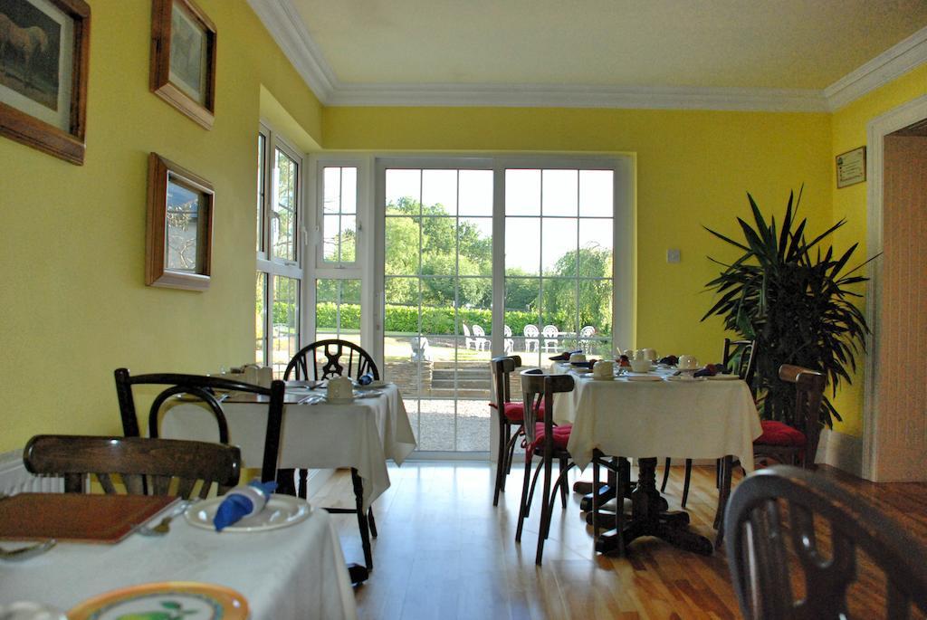 Lemongrove House Bed & Breakfast Enniscorthy Dış mekan fotoğraf